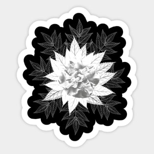 Gardenia - tropical Flower in Africa Sticker